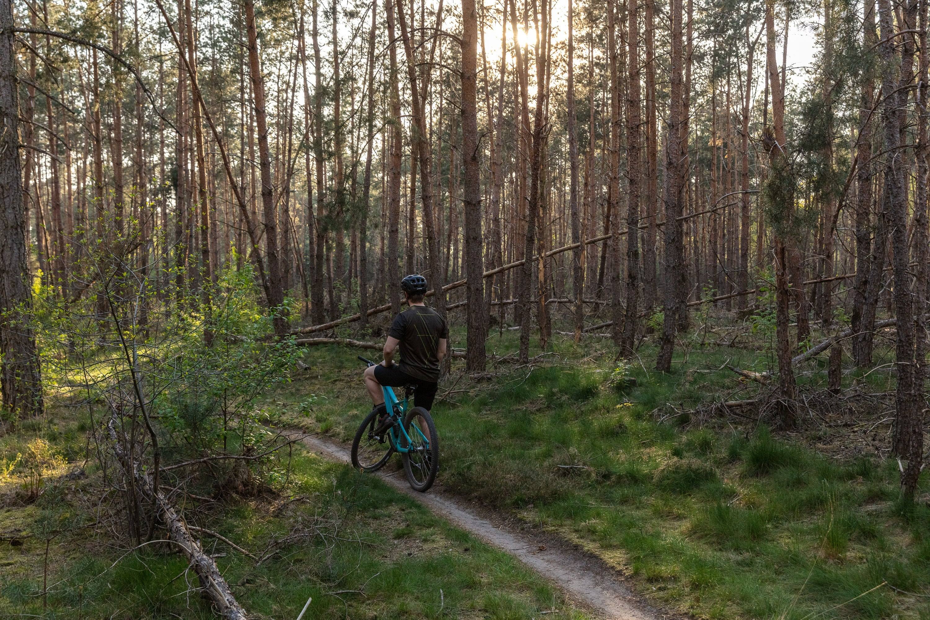 Näin löydät käyttötarkoitukseesi sopivan sähköpyörän - Elite Bike