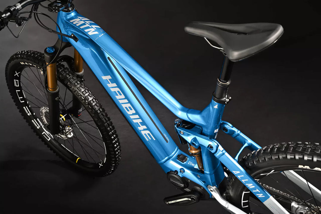 Haibike ALLMTN 10