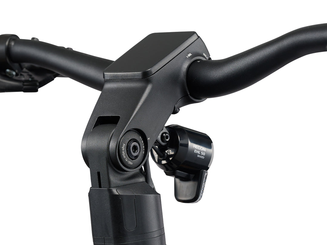 Giant AnyTour X E+ 3 BP 25km/h M Good Gray