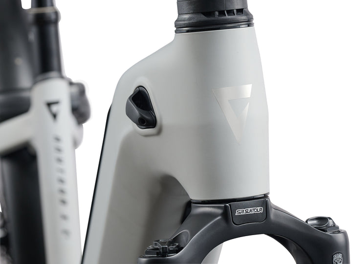 Giant AnyTour X E+ 3 BP 25km/h M Good Gray