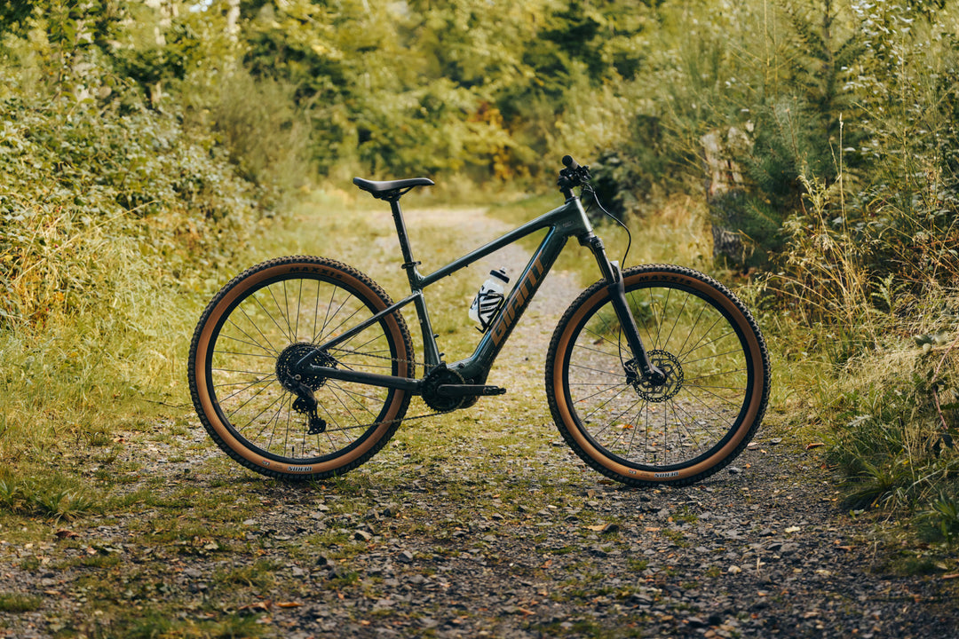 Giant Talon E+ / Asphalt Green