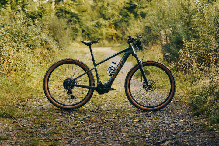 Giant Talon E+ / Asphalt Green