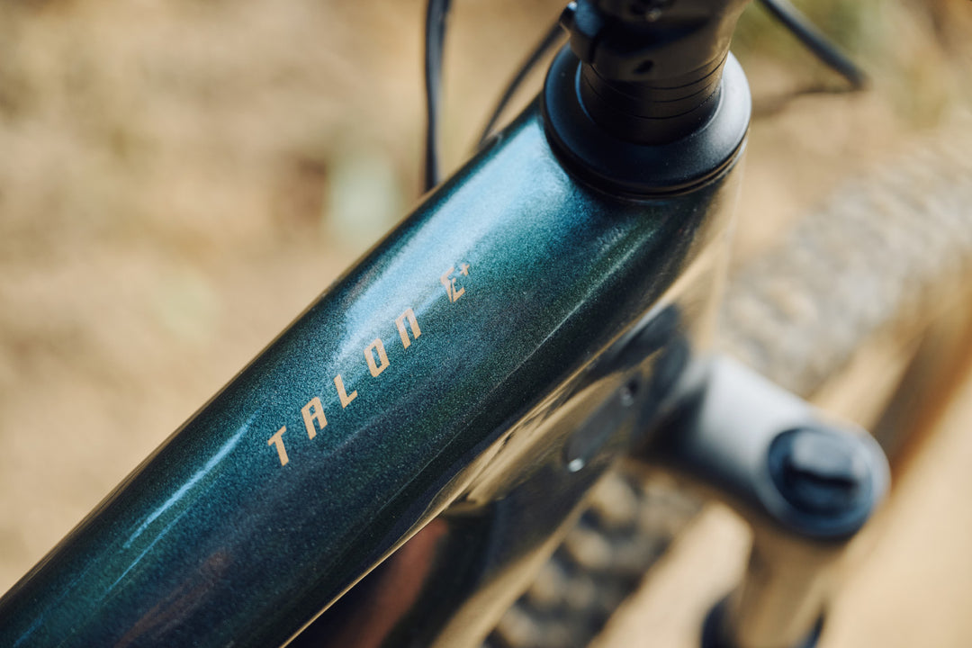 Giant Talon E+ / Asphalt Green