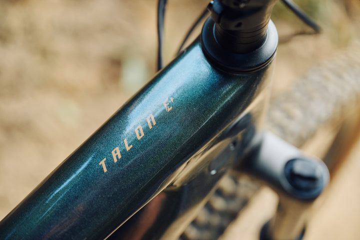 Giant Talon E+ / Asphalt Green