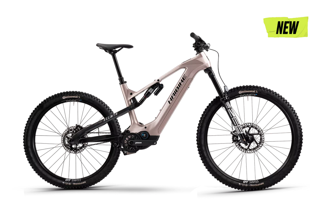 Haibike ALLMTN CF 11 TRN/IQ