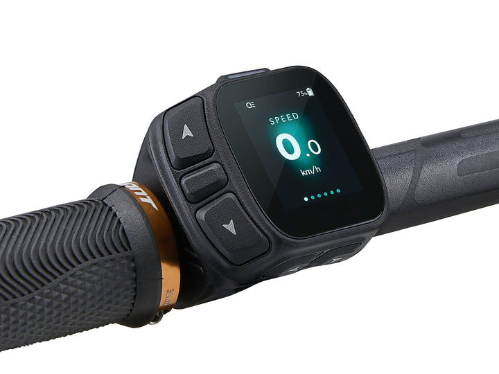 Giant Stance E+1 800wh  Almond/Black