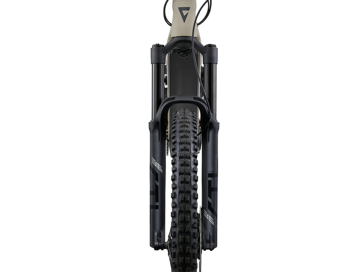 Giant Stance E+1 800wh  Almond/Black