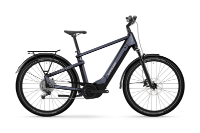 Winora Yakun X10E High -